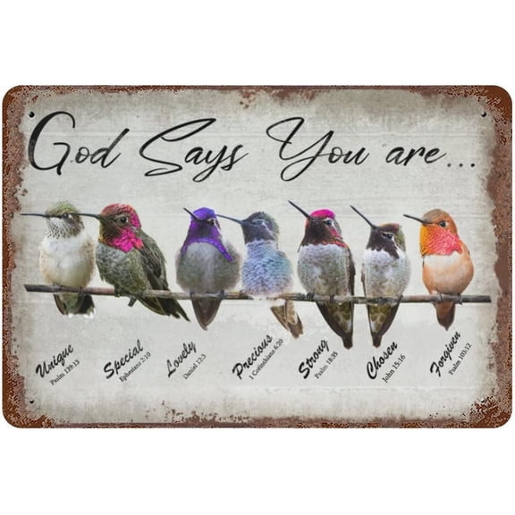 Novelty Tin Sign Humingbird God Says You Are Wall Art - Inspirational Quote Sign - Psalms, Bible Verses, Scripture Wall Decor - Religious Encouragement Gifts - Home Living Room Posters 12"x8"