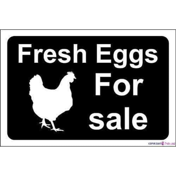 Novelty Warning Metal Tin Sign Fresh Egg Sign Outdoor Security Farm Yard Warning Decoratives Metal Aluminum Sign 8 X 12 INCH