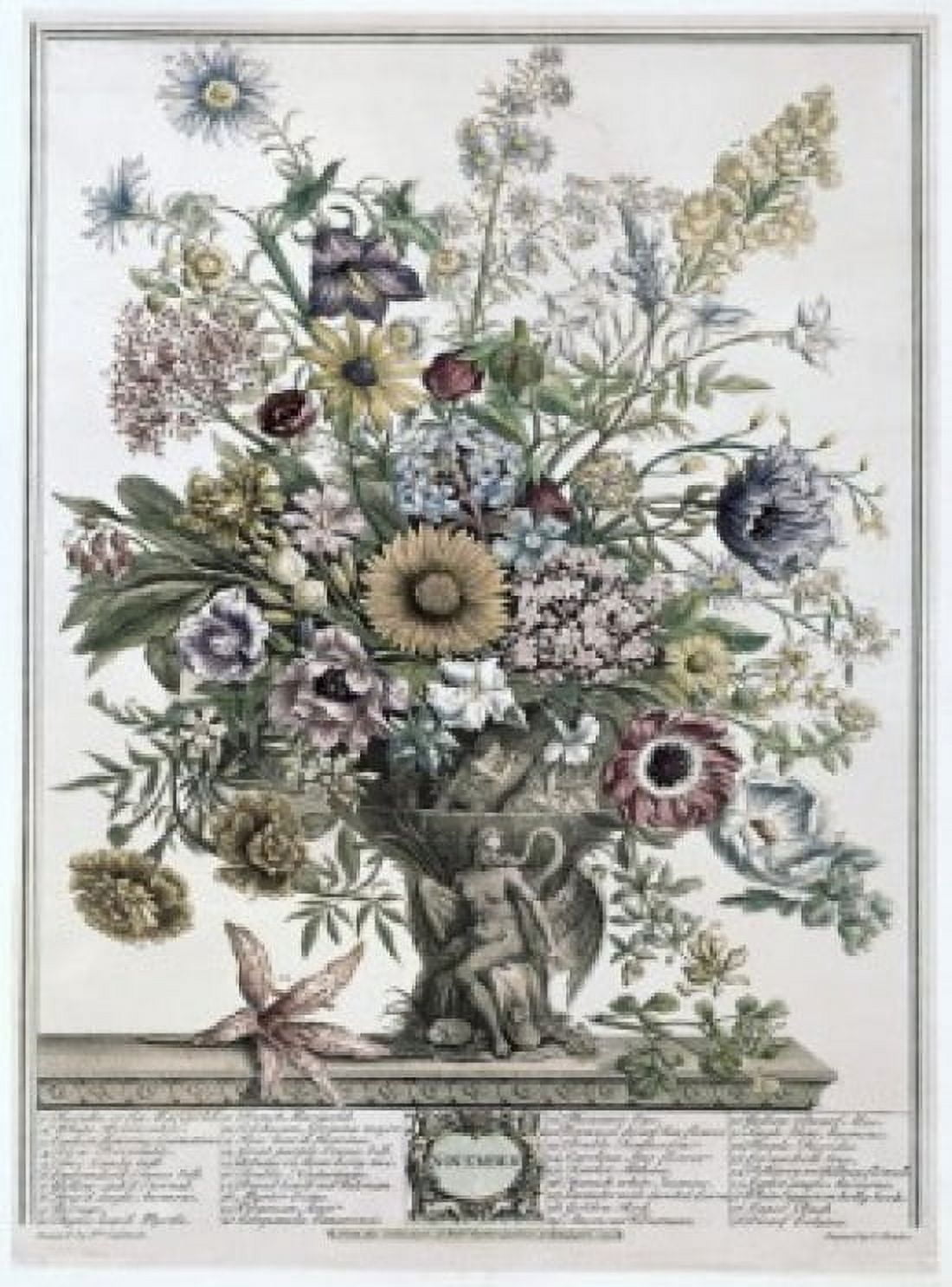 November 1730 H Fletcher (ca18th C British) Lithograph Canvas Art - H Fletcher (18 x 24)