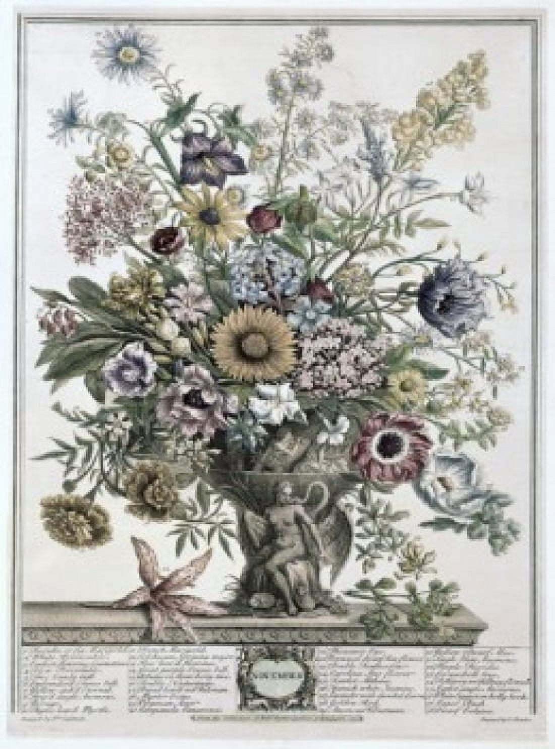 November 1730 H Fletcher (ca18th C British) Lithograph Canvas Art - H Fletcher (24 x 36)