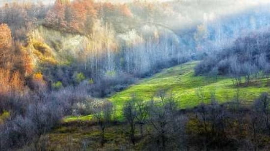 November Colors Canvas Art - Adrian Popan (12 x 18)