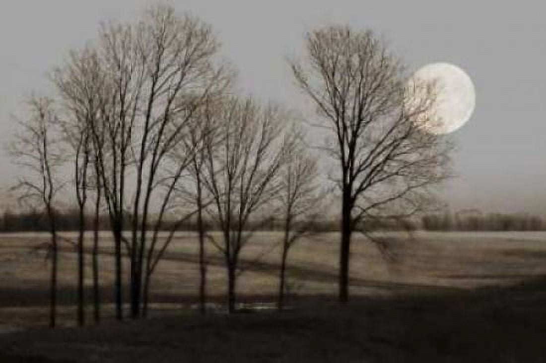 November Moon Canvas Art - Heather Jacks (12 x 18)