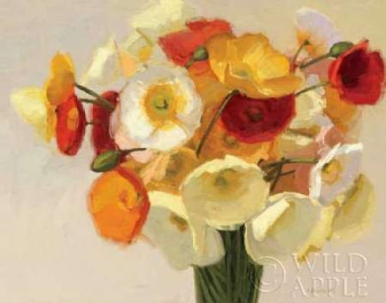 November Poppies Canvas Art - Shirley Novak (22 x 28)