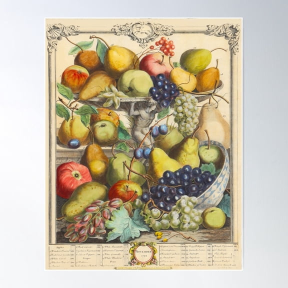 November, From The Twelve Months Of Fruits, By Robert Furber (1732) High Definition Poster Wall Art, Modern Wall Decor For Living Room Bedroom, 8x12 UNFRAMED