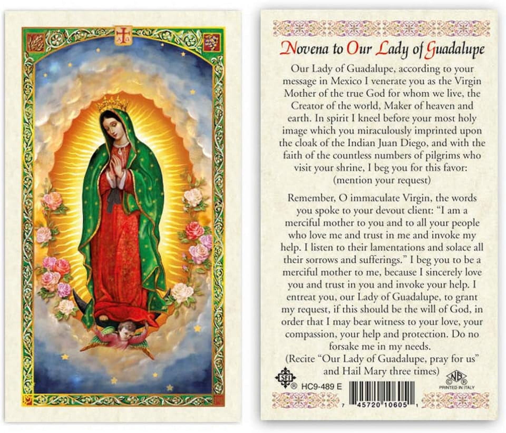 Novena to Our Lady of Guadalupe Laminated Prayer Cards - Pack of 25 ...