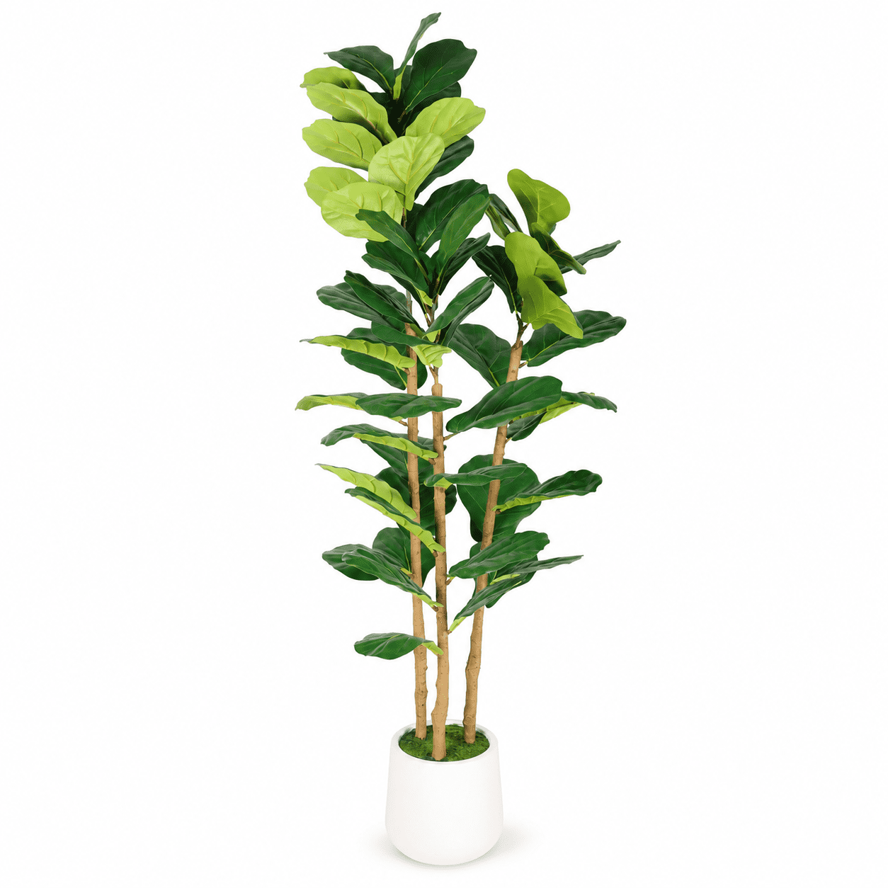 Novikka Artificial Fiddle Leaf Fig Tree, Approx. 5.2 ft, White ...
