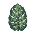 thumbnail image 1 of Novogratz Cucina CNA14 Green Monstera 3' X 4'6", 1 of 5