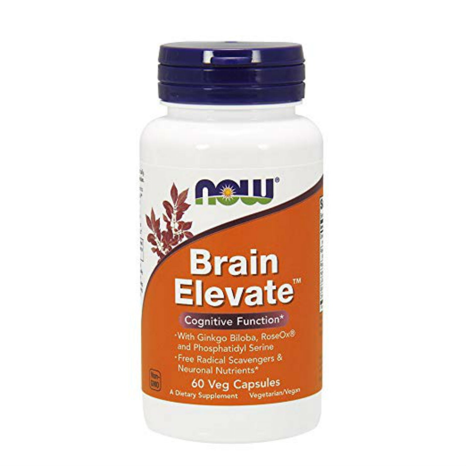 NOW Supplements, Brain Elevate, Featuring Ginkgo Biloba, RoseOx and ...