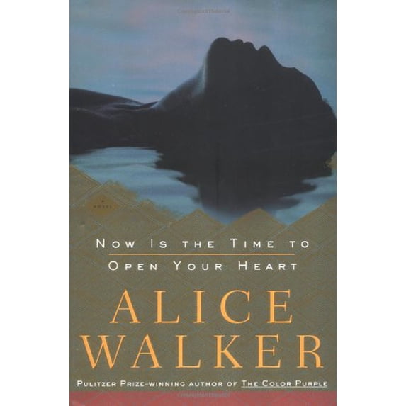 Pre-Owned Now Is the Time to Open Your Heart (Hardcover) 1400061733 9781400061730