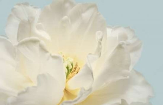 Now Serene Canvas Art - Julie Greenwood (12 x 18)