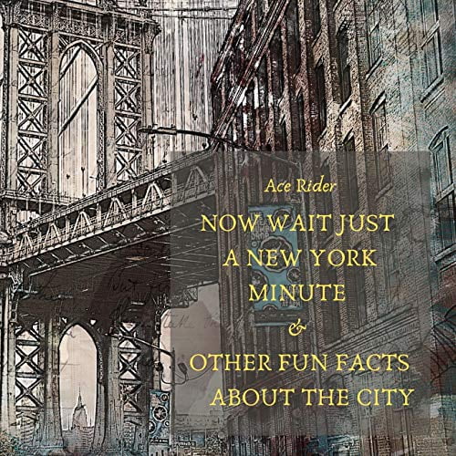 Pre-Owned Now Wait Just a New York Minute & Other Fun Facts about the City: Your Guide to Faking it with the Best of New Yorkers (Paperback) 1700354329 9781700354327