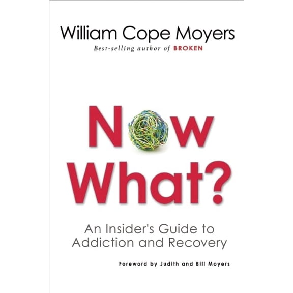 Pre-Owned Now What?: An Insider's Guide to Addiction and Recovery (Paperback) 1616494190 9781616494193