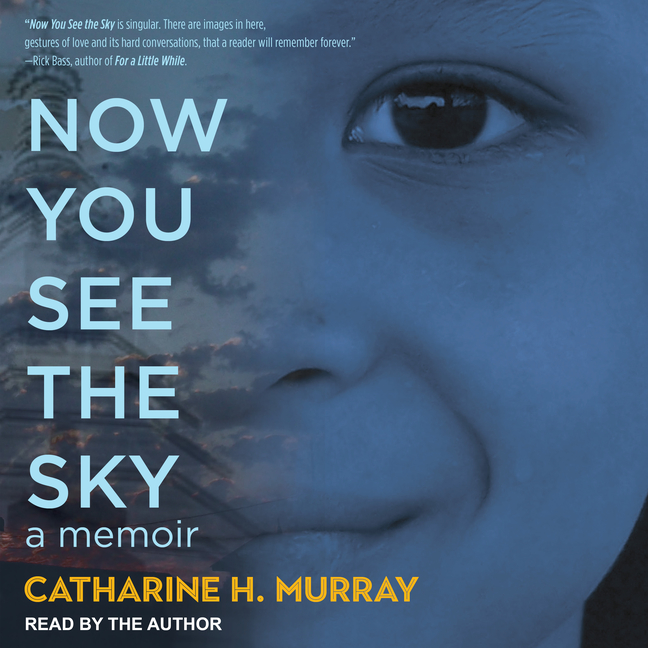 Now You See the Sky (Audiobook)