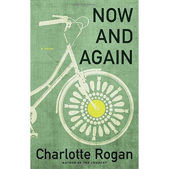 Pre-Owned Now and Again (Hardcover) 0316380938 9780316380935