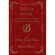 Now or Never Or the Adventures of Bobby Bright, a Story for Young Folks