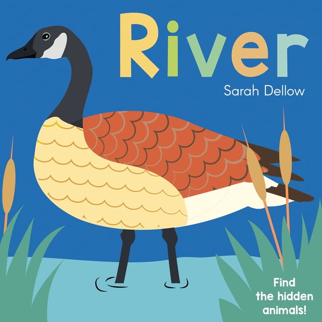Now You See It! Now You See It! River, (Board Book)