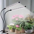 thumbnail image 1 of Noyafa Dual-Arm LED Grow Light for Indoor Plants, Full Spectrum 380-780nm, 10 Dimmable Levels, 3 Light Modes, 1 of 8
