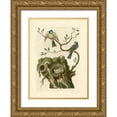 thumbnail image 1 of Nozeman 11x14 Gold Ornate Wood Framed with Double Matting Museum Art Print Titled - Nozeman Birds and Nests  III, 1 of 4