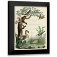 thumbnail image 1 of Nozeman 12x14 Black Modern Framed Museum Art Print Titled - Duck Sanctuary, 1 of 5