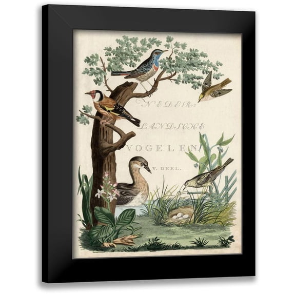 Nozeman 12x14 Black Modern Framed Museum Art Print Titled - Duck Sanctuary
