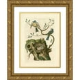 thumbnail image 1 of Nozeman 14x18 Gold Ornate Wood Framed with Double Matting Museum Art Print Titled - Nozeman Birds and Nests III, 1 of 4