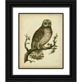 thumbnail image 1 of Nozeman 20x24 Black Ornate Wood Framed with Double Matting Museum Art Print Titled - Antique Nozeman Owl II, 1 of 4