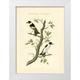 thumbnail image 1 of Nozeman 24x32 White Modern Wood Framed Museum Art Print Titled - Nozeman Birds IV, 1 of 4