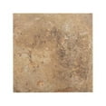 thumbnail image 1 of Npt TUN-ORO 6 x 6 in. Series Oro Tundra Tile, 1 of 1