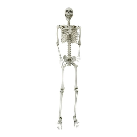 Nrmvnmi 6 FT Halloween Skeleton - Life Size Full Body Realistic Human Bones with Posable Joints for Halloween Pose Skeleton Prop Decoration