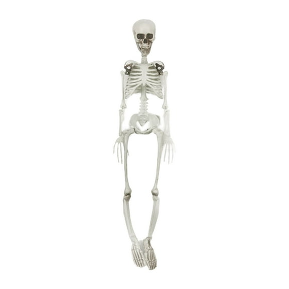 Nrmvnmi 35.4 Inch Halloween Skeleton - Life Size Full Body Realistic Human Bones with Posable Joints for Halloween Pose Skeleton Prop Decoration