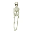 thumbnail image 1 of Nrmvnmi 15.7 Inch Halloween Skeleton - Life Size Full Body Realistic Human Bones with Posable Joints for Halloween Pose Skeleton Prop Decoration, 1 of 5