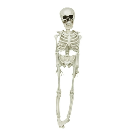 Nrmvnmi 15.7 Inch Halloween Skeleton - Life Size Full Body Realistic Human Bones with Posable Joints for Halloween Pose Skeleton Prop Decoration