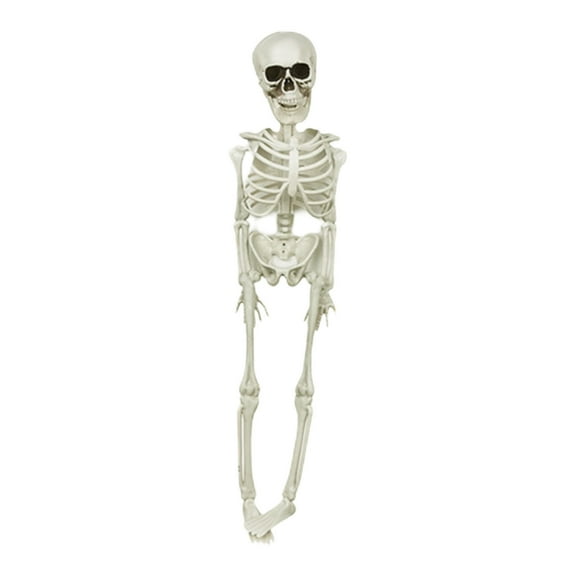 Nrmvnmi 15.7 Inch Halloween Skeleton - Life Size Full Body Realistic Human Bones with Posable Joints for Halloween Pose Skeleton Prop Decoration