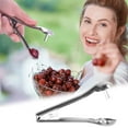 thumbnail image 1 of Nrmvnmi Cherry Pitter Tool, Stainless Steel Cherry Pitter, Portable Cherry Seed Remover, Kitchen Pitter for Cherry, Olives, Hawthorn, Red Date, 1 of 7