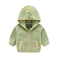 thumbnail image 1 of Nrmvnmi Toddler Baby Boys Long Sleeve Dinosaur Hoodies Sweatshirt Kids Hooded Sweater Tops Zip-up Jacket with Pocket, 1 of 4