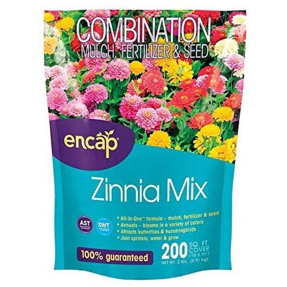 Ns Zinnia Flowers