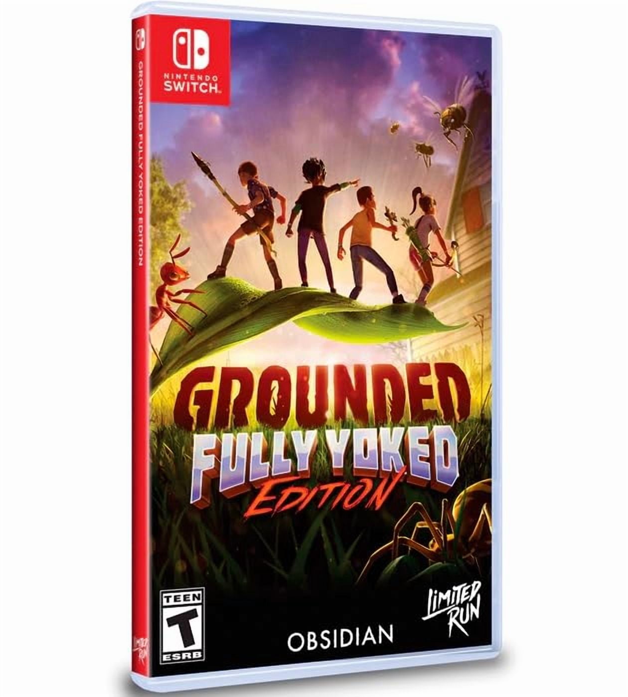 Grounded Fully Yoked Edition Switch スイッチ Nsw - Grounded Fully Yoked Edition (Standard - Switch) Lrg # 231