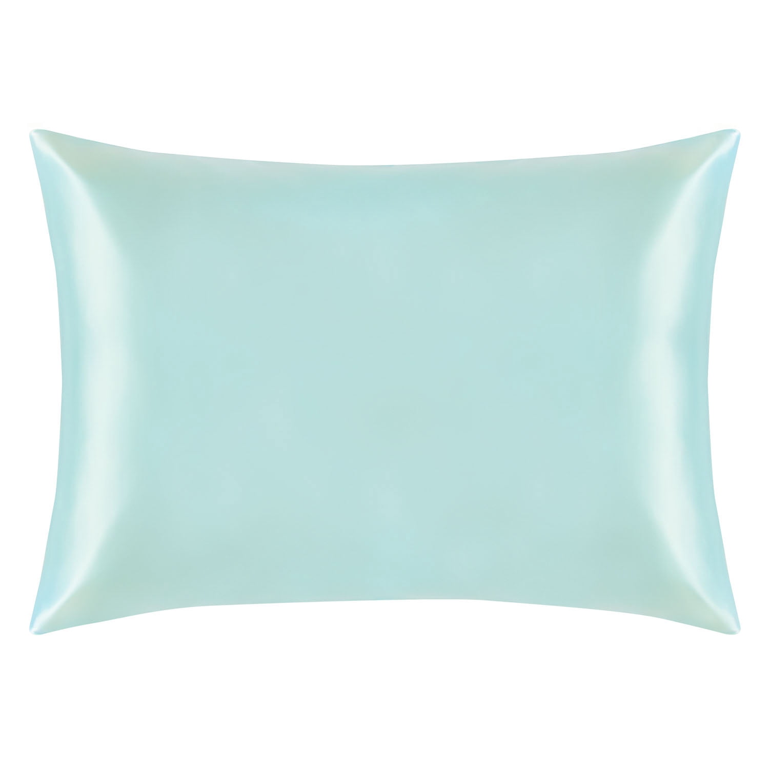 Ntbay 1 Pack 100% Mulberry Silk Queen Pillowcase with Hidden Zipper, Luxurious Both Side 19 Momme Pillow Case, 20" x 30", Aqua Blue