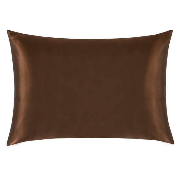 Ntbay 1 Pack 100% Mulberry Silk Queen Pillowcase with Hidden Zipper, Luxurious Both Side 19 Momme Pillow Case, 20" x 30", Brown