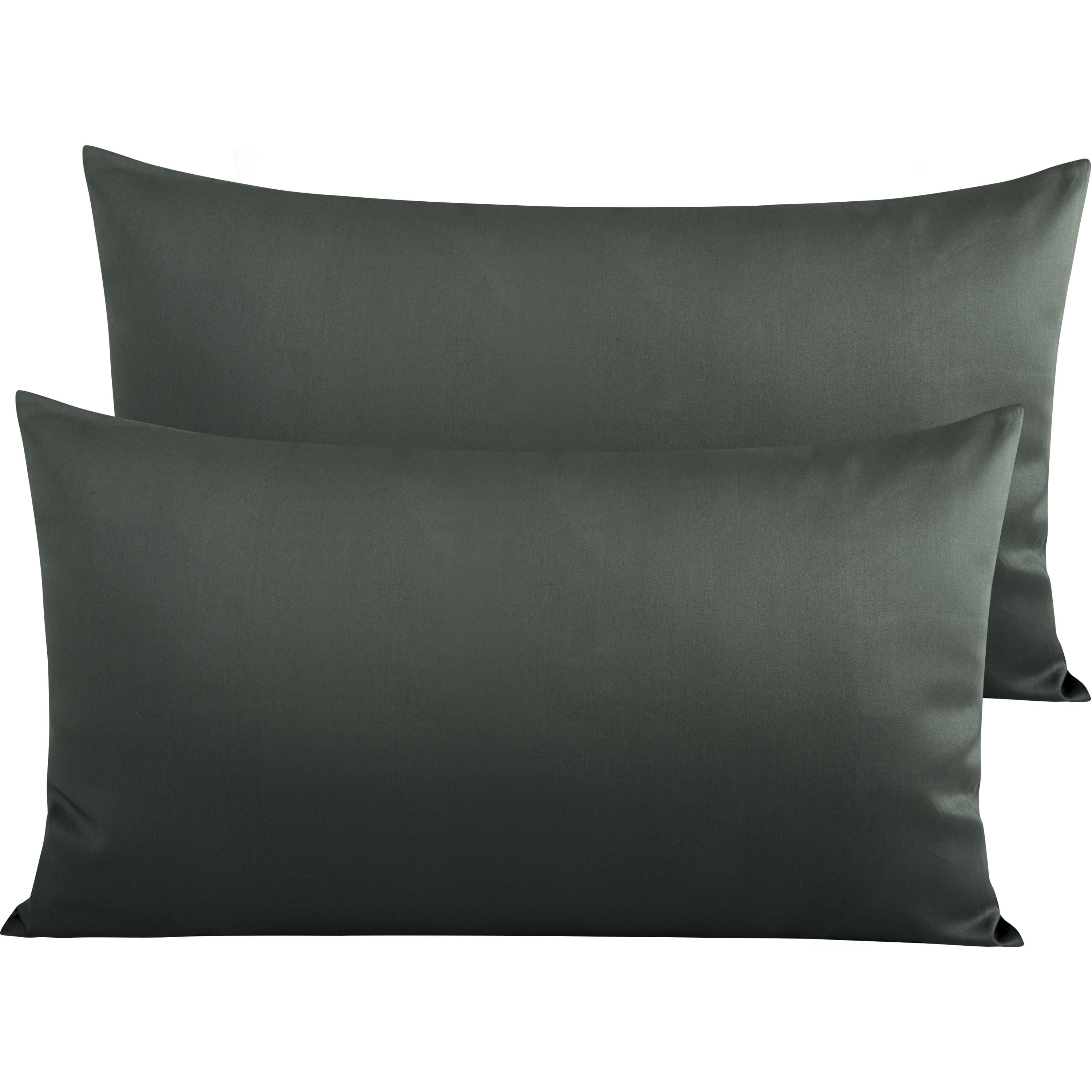 Ntbay 2 Pack 500 Thread Count 100 Egyptian Cotton King Pillowcases