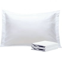 Ntbay 2 Pack Double Brushed Microfiber Queen Pillow Shams with 2" Flange, Wrinkle, Fade, Stain Resistant Sham, 20"x30", White