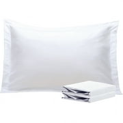 Ntbay 2 Pack Double Brushed Microfiber Queen Pillow Shams with 2" Flange, Wrinkle, Fade, Stain Resistant Sham, 20"x30", White
