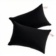Ntbay 2 Pack Microfiber Soft Tiny Pillows, Machine Washable Travel Pillows, 11" x 7", Black