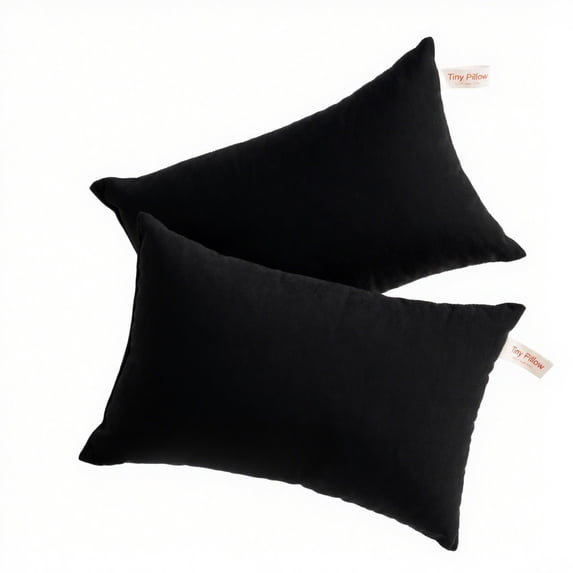 Ntbay 2 Pack Microfiber Soft Tiny Pillows, Machine Washable Travel Pillows, 11" x 7", Black