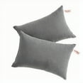 thumbnail image 1 of Ntbay 2 Pack Microfiber Soft Tiny Pillows, Machine Washable Travel Pillows, 11" x 7", Dark Gray, 1 of 5