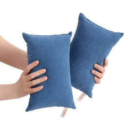 https://i5.walmartimages.com/seo/Ntbay-2-Pack-Microfiber-Soft-Tiny-Pillows-Machine-Washable-Travel-Pillows-11-x-7-Denim-Blue_0849a08b-6e02-463a-a1b9-85759be01757.b58c09612d16400e7e02a2d99a45c3df.jpeg?odnHeight=264&odnWidth=264&odnBg=FFFFFF