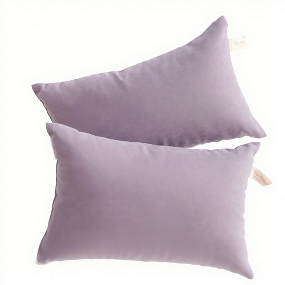 Ntbay 2 Pack Microfiber Soft Tiny Pillows, Machine Washable Travel Pillows, 11" x 7", Lavender Purple