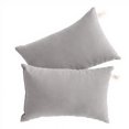 thumbnail image 1 of Ntbay 2 Pack Microfiber Soft Tiny Pillows, Machine Washable Travel Pillows, 11" x 7", Light Gray, 1 of 5