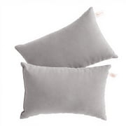 Ntbay 2 Pack Microfiber Soft Tiny Pillows, Machine Washable Travel Pillows, 11" x 7", Light Gray