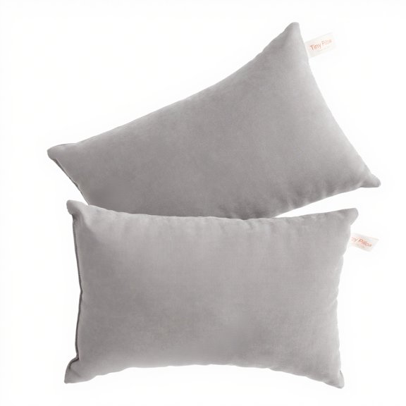 Ntbay 2 Pack Microfiber Soft Tiny Pillows, Machine Washable Travel Pillows, 11" x 7", Light Gray